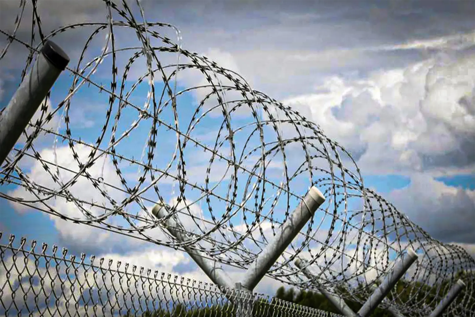 Clôture électrique